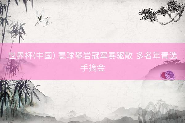 世界杯(中国) 寰球攀岩冠军赛驱散 多名年青选手摘金