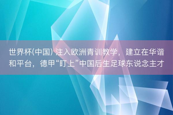 世界杯(中国) 注入欧洲青训教学，建立在华谐和平台，德甲“盯上”中国后生足球东说念主才
