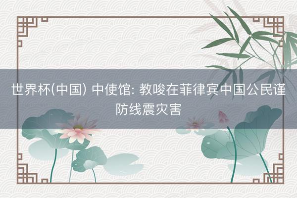 世界杯(中国) 中使馆: 教唆在菲律宾中国公民谨防线震灾害