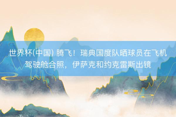 世界杯(中国) 腾飞！瑞典国度队晒球员在飞机驾驶舱合照，伊萨克和约克雷斯出镜