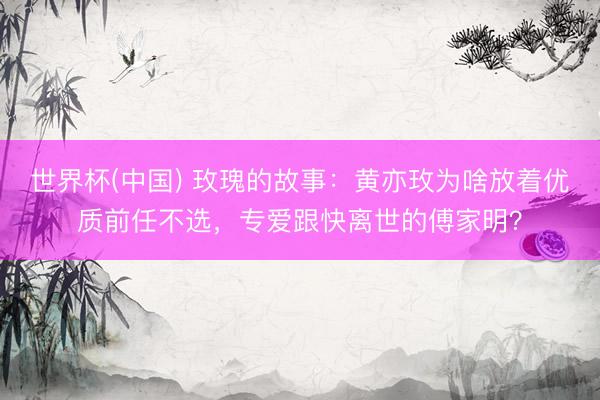 世界杯(中国) 玫瑰的故事：黄亦玫为啥放着优质前任不选，专爱跟快离世的傅家明？