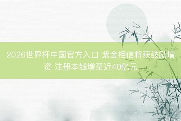 2026世界杯中国官方入口 紫金相信将获鼓励增资 注册本钱增至近40亿元