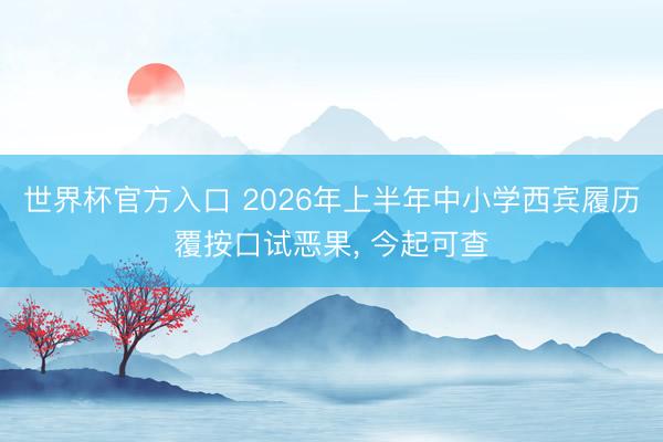 世界杯官方入口 2026年上半年中小学西宾履历覆按口试恶果， 今起可查