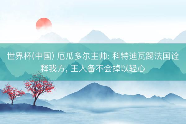 世界杯(中国) 厄瓜多尔主帅: 科特迪瓦踢法国诠释我方, 王人备不会掉以轻心