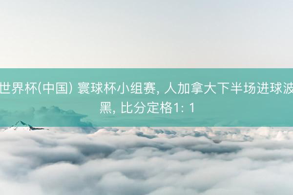世界杯(中国) 寰球杯小组赛， 人加拿大下半场进球波黑， 比分定格1: 1