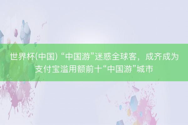 世界杯(中国) “中国游”迷惑全球客,成齐成为支付宝滥用额前十“中国游”城市