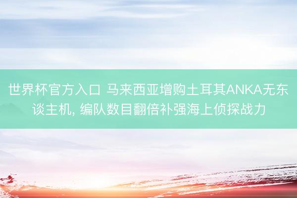 世界杯官方入口 马来西亚增购土耳其ANKA无东谈主机， 编队数目翻倍补强海上侦探战力